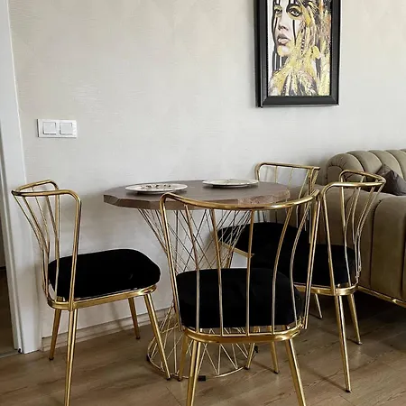 King Zg5 이스탄불